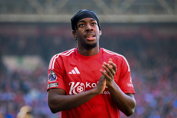 爱情的特殊 爱情的特殊